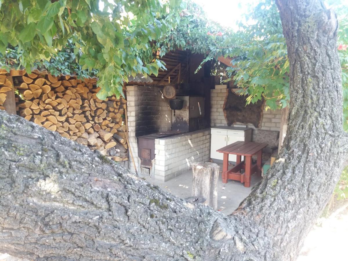 Садиба Зеленого Туризму «Золота Рибка» Medvedevka Εξωτερικό φωτογραφία