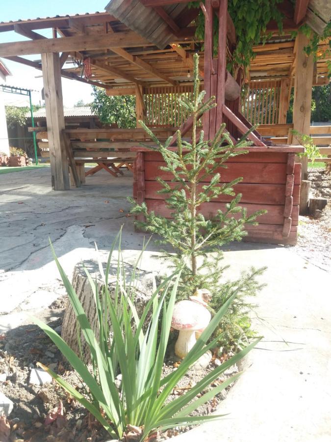 Садиба Зеленого Туризму «Золота Рибка» Medvedevka Εξωτερικό φωτογραφία