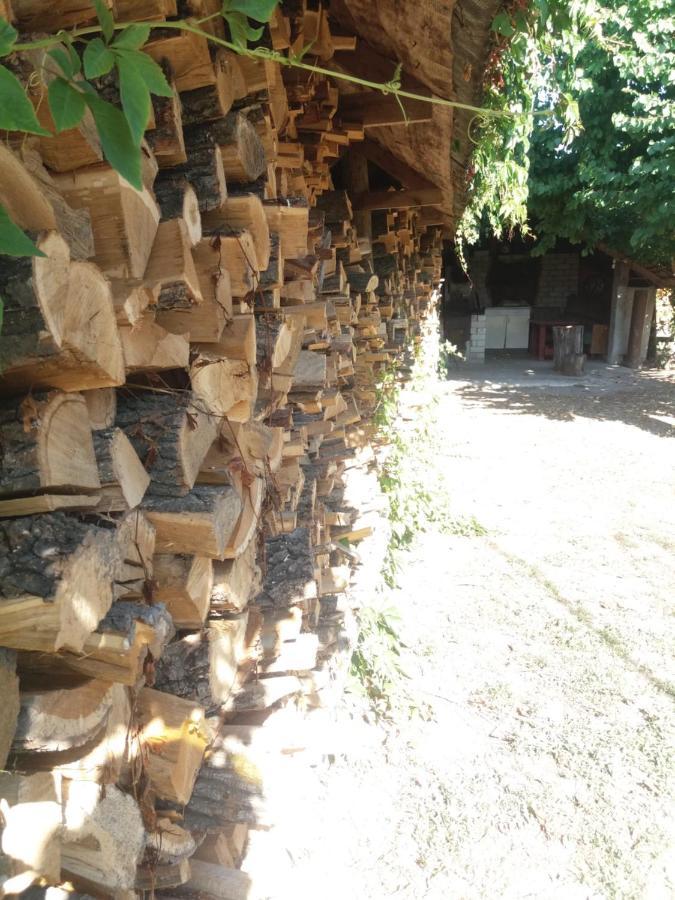 Садиба Зеленого Туризму «Золота Рибка» Medvedevka Εξωτερικό φωτογραφία