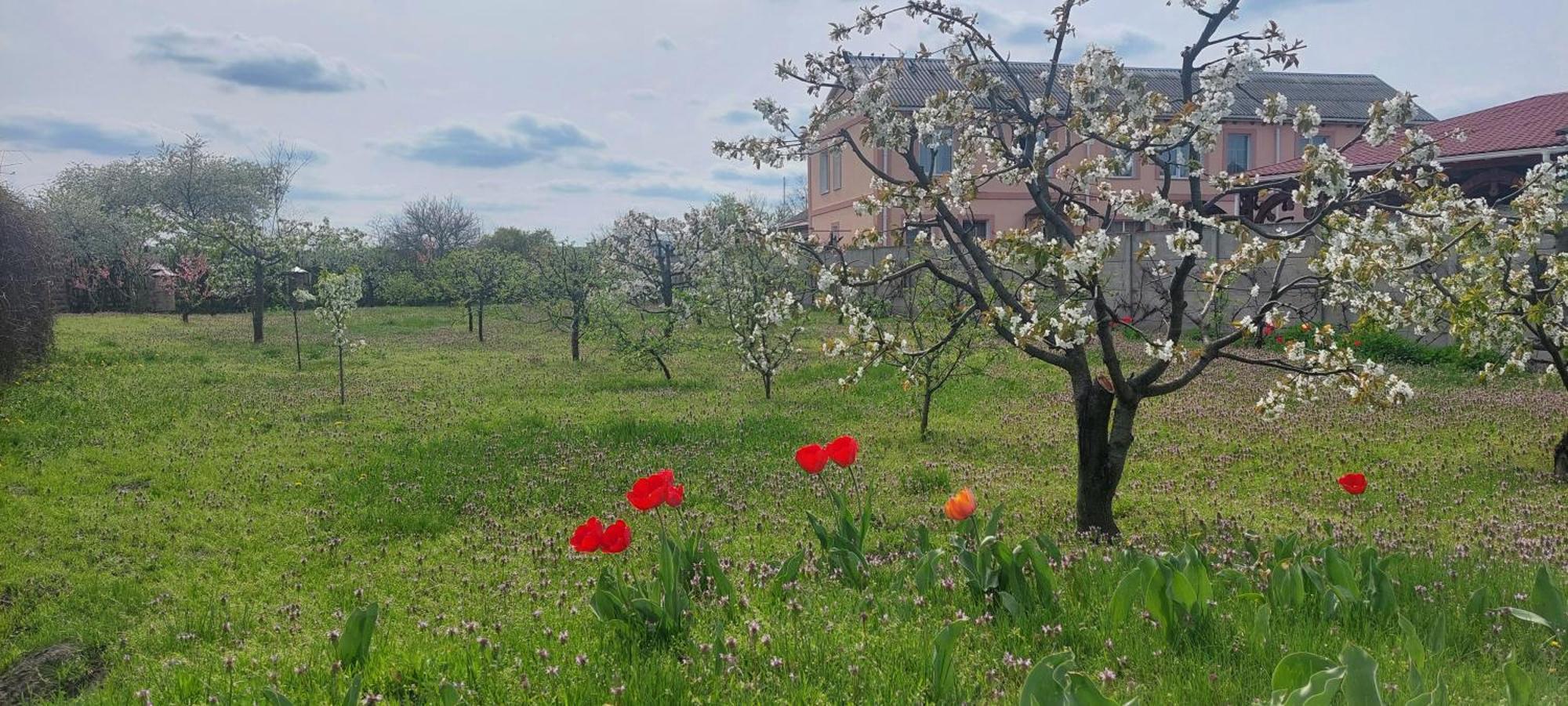 Садиба Зеленого Туризму «Золота Рибка» Medvedevka Εξωτερικό φωτογραφία